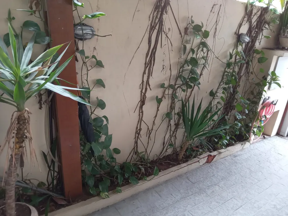Casa, 5 quartos, 175 m² - Foto 4