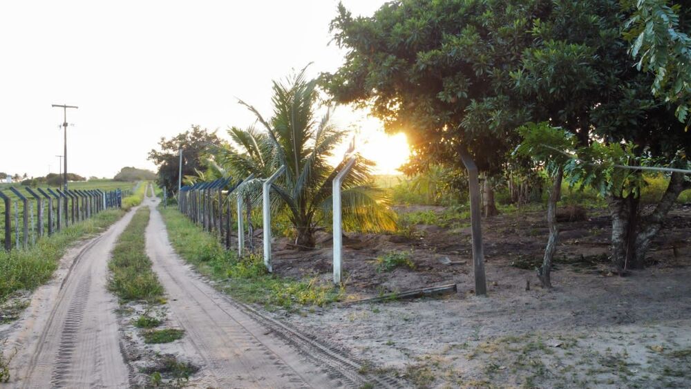 Fazenda, 72 hectares - Foto 10