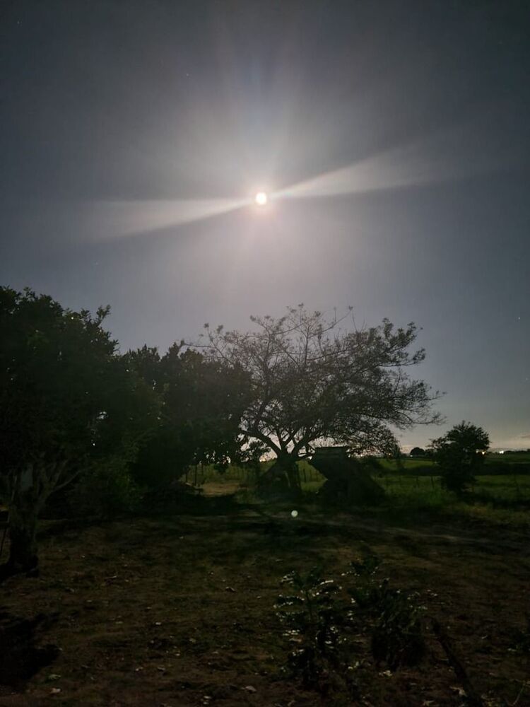 Fazenda, 72 hectares - Foto 14