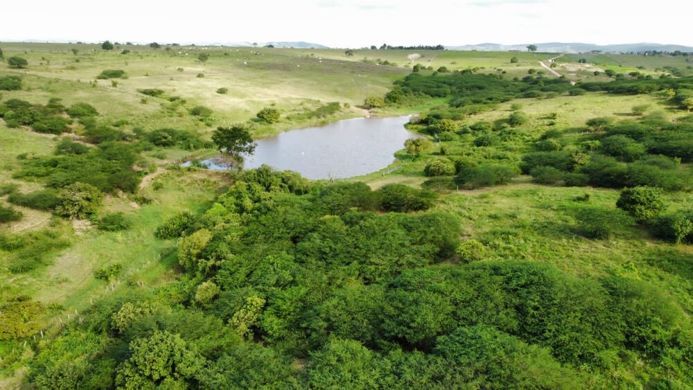 Fazenda, 72 hectares - Foto 6