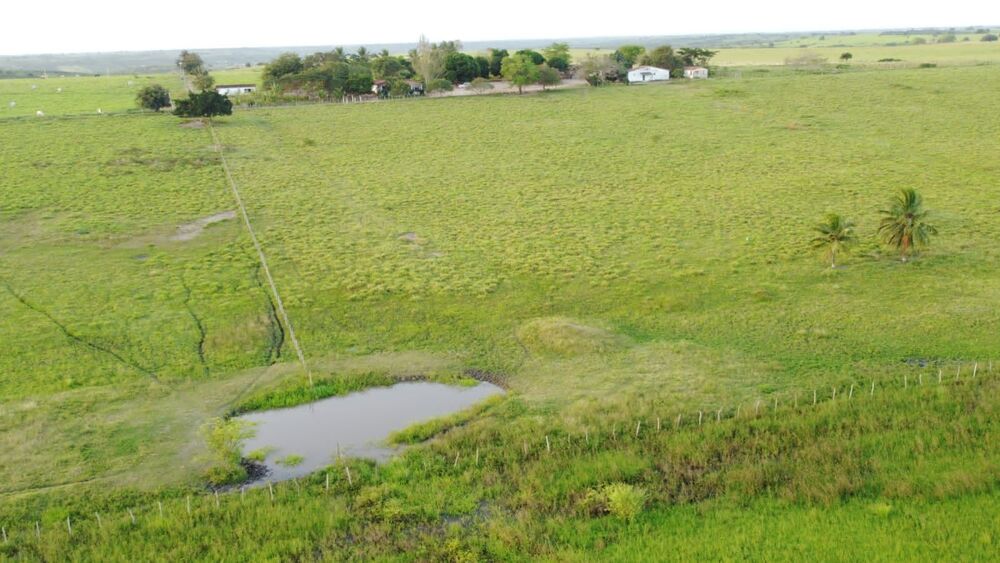 Fazenda, 72 hectares - Foto 8