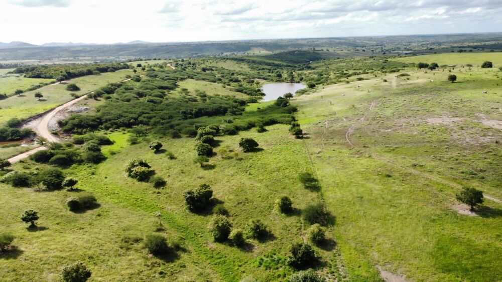Fazenda, 72 hectares - Foto 1