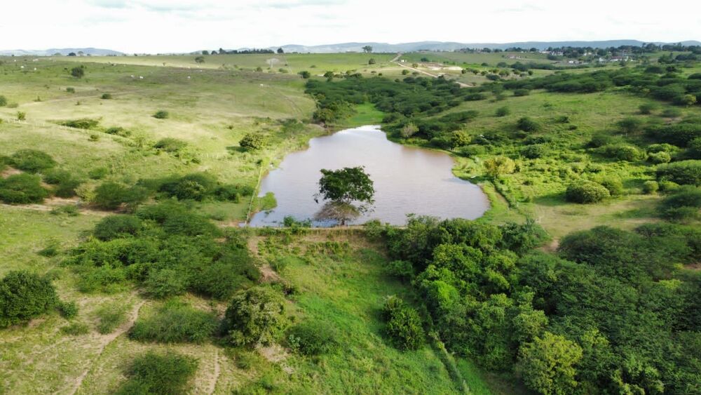 Fazenda, 72 hectares - Foto 13