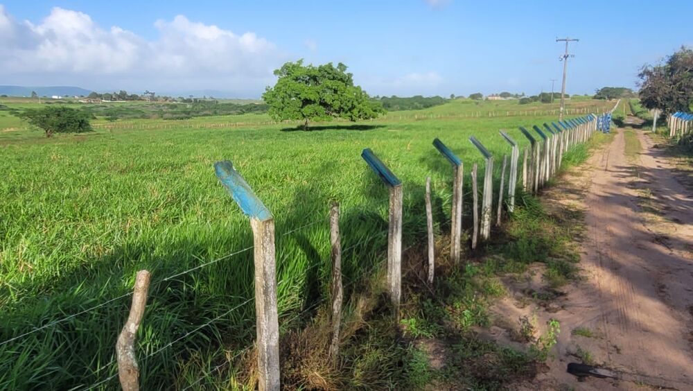 Fazenda, 72 hectares - Foto 5