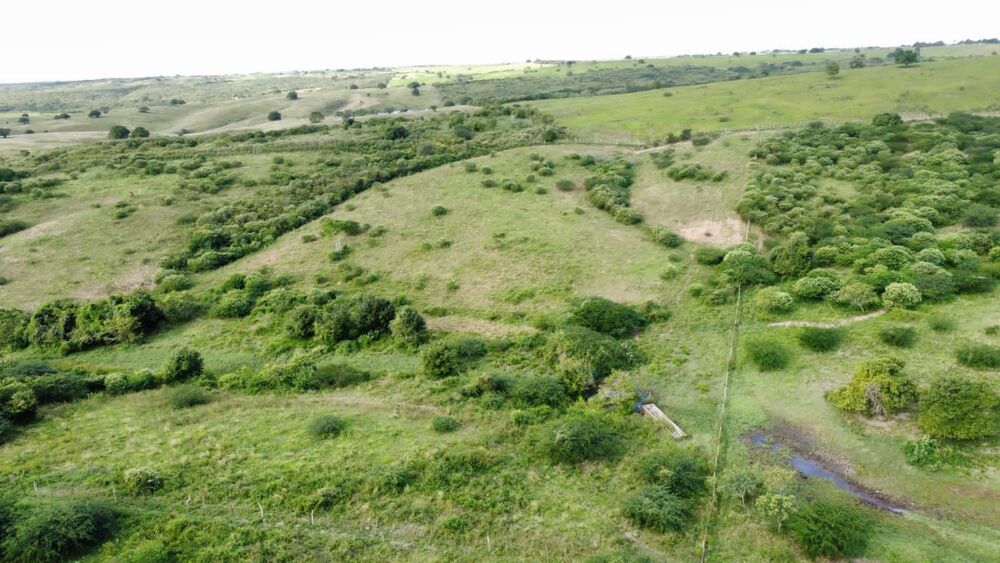 Fazenda, 72 hectares - Foto 15