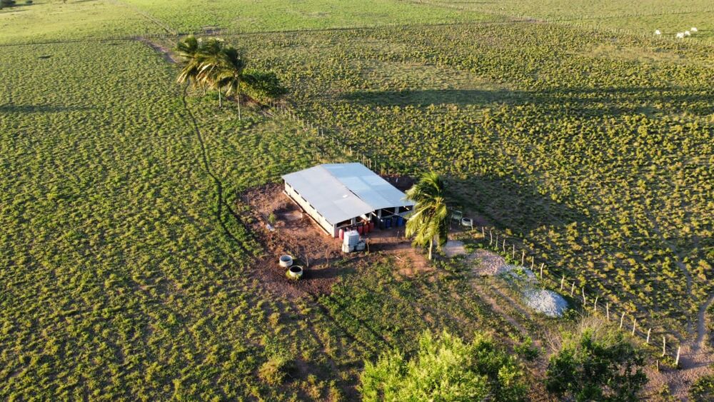 Fazenda, 72 hectares - Foto 11