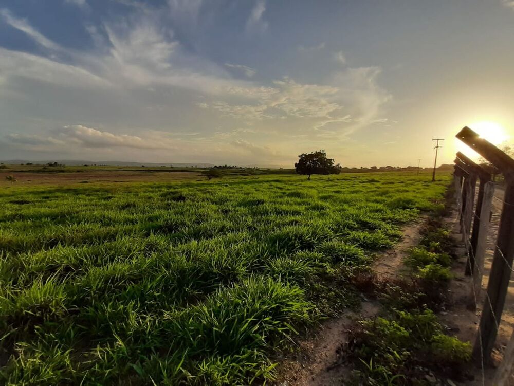 Fazenda, 72 hectares - Foto 2