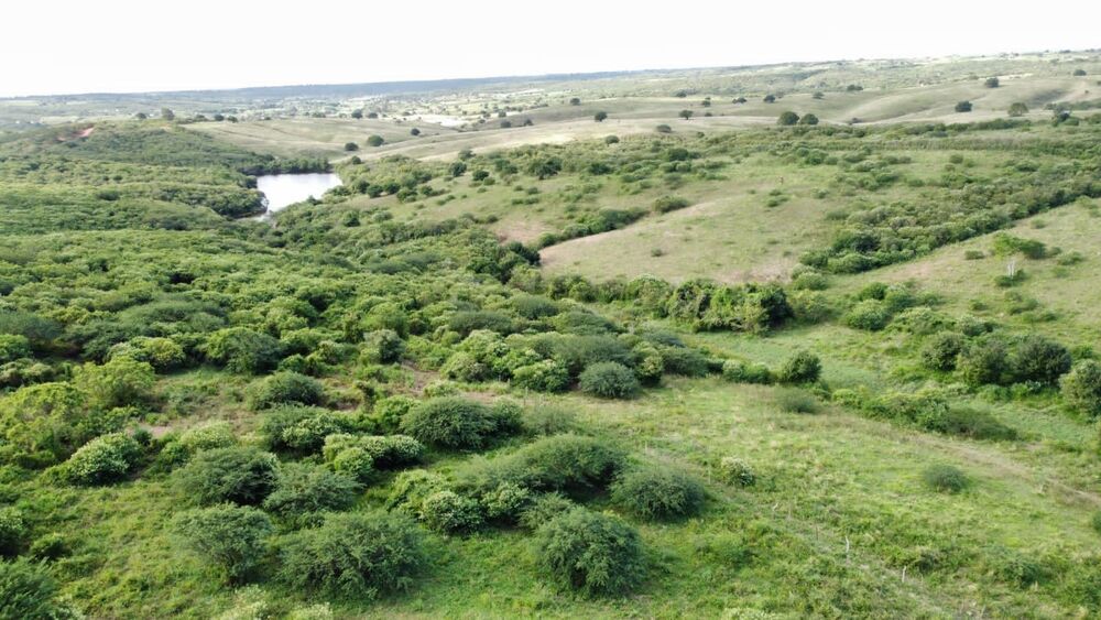 Fazenda, 72 hectares - Foto 4