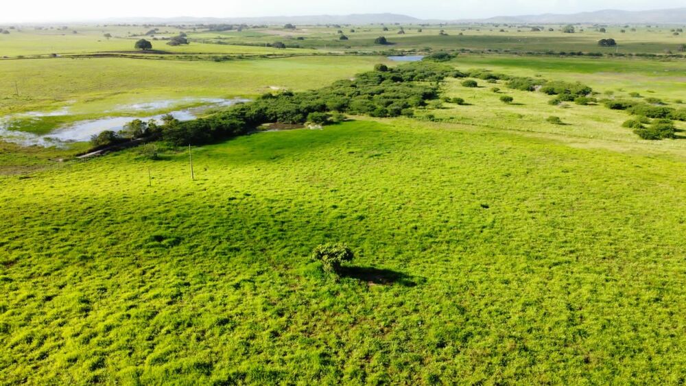 Fazenda, 72 hectares - Foto 9