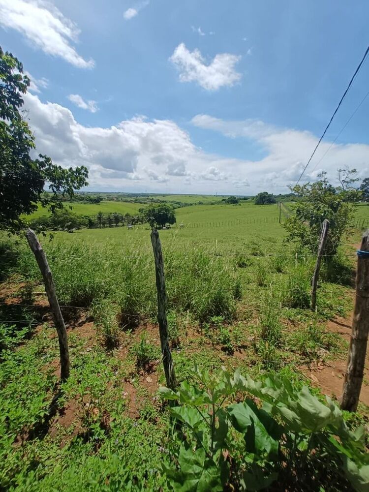 Sítio à venda, 95000M2 - Foto 17