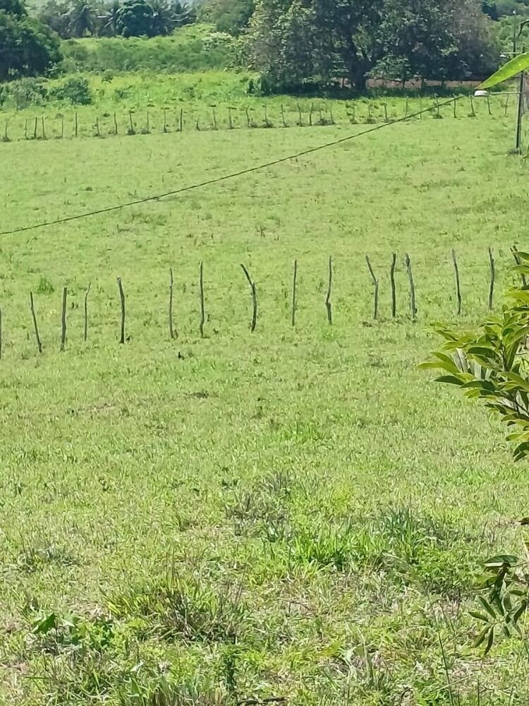 Sítio à venda, 95000M2 - Foto 13