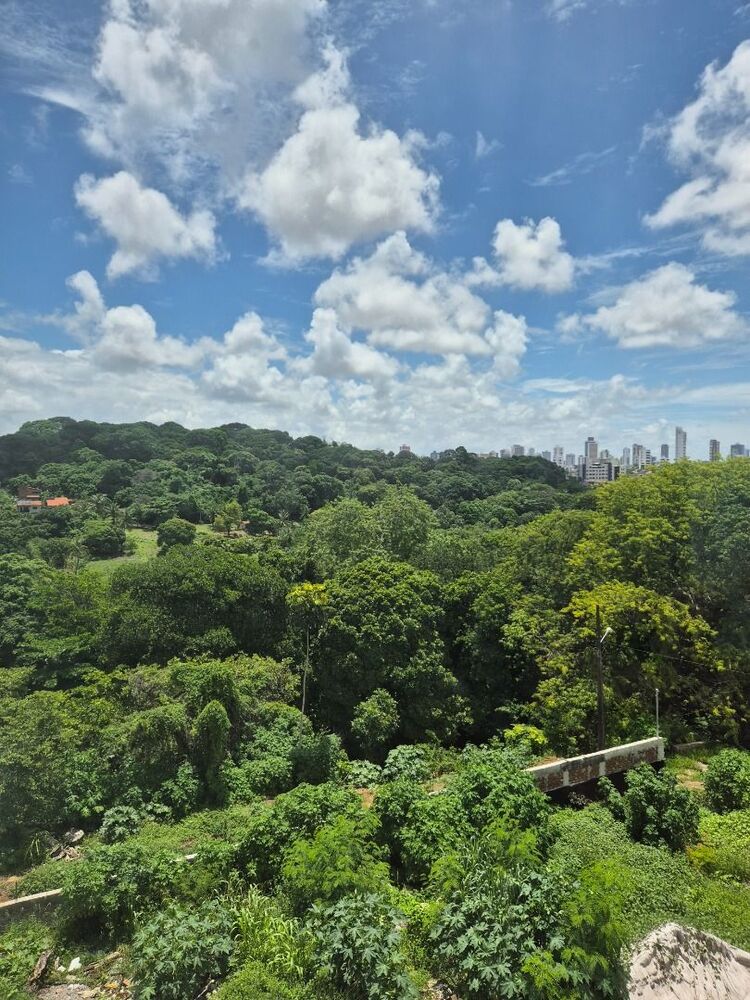 Apartamento, 3 quartos, 60 m² - Foto 12