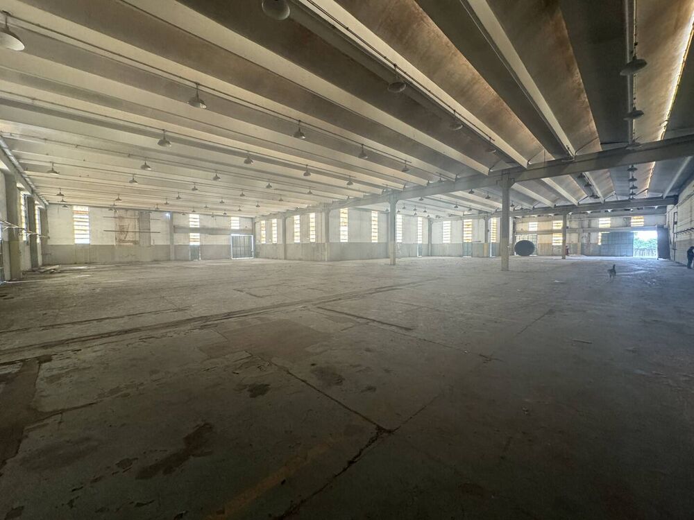 Depósito-Galpão-Armazém para alugar, 4000m² - Foto 3