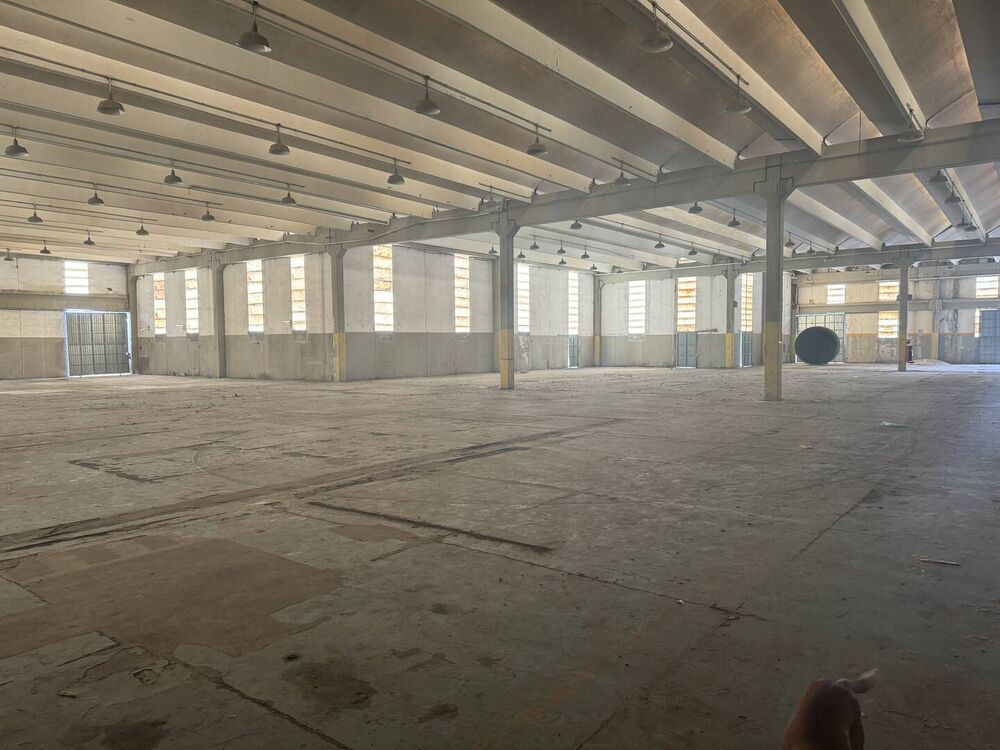 Depósito-Galpão-Armazém para alugar, 4000m² - Foto 2