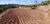 Prédio Inteiro, 6400 m² - Foto 3