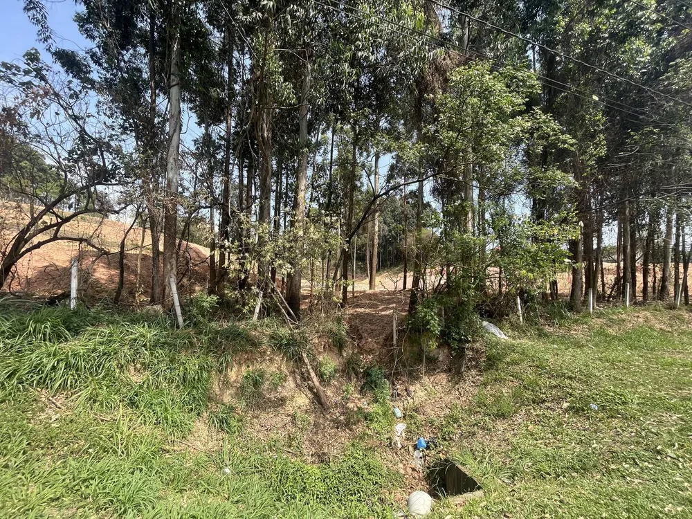 Terreno, 4 hectares - Foto 7
