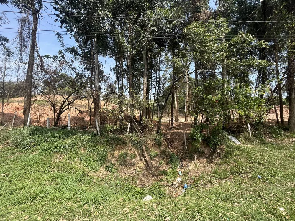 Terreno, 4 hectares - Foto 6