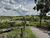 Terreno, 4 hectares - Foto 3