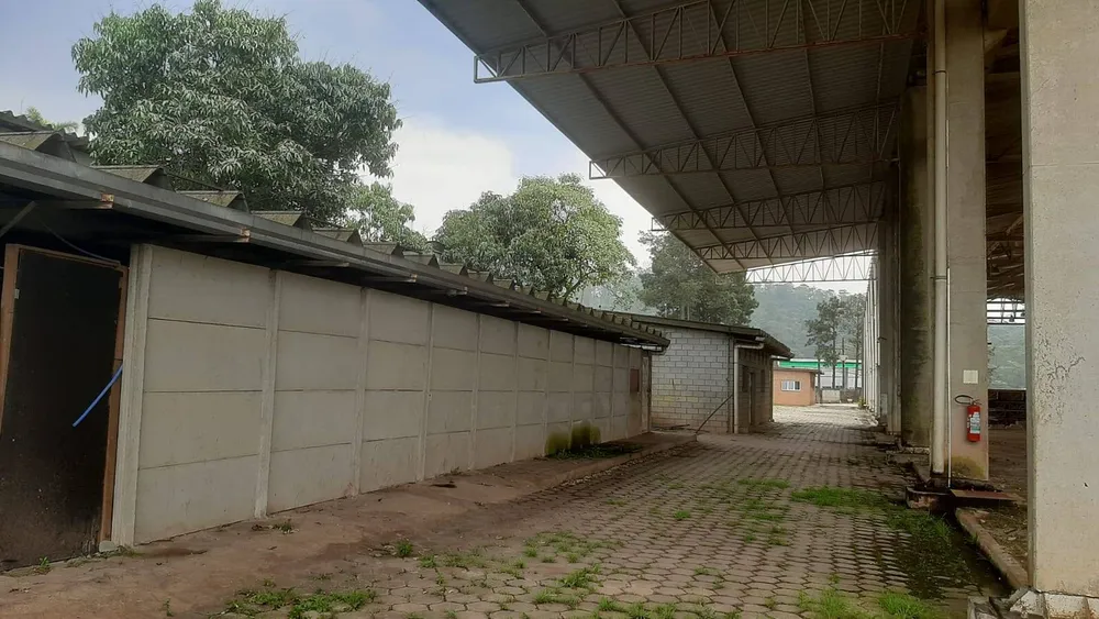 Depósito-Galpão, 3750 m² - Foto 5