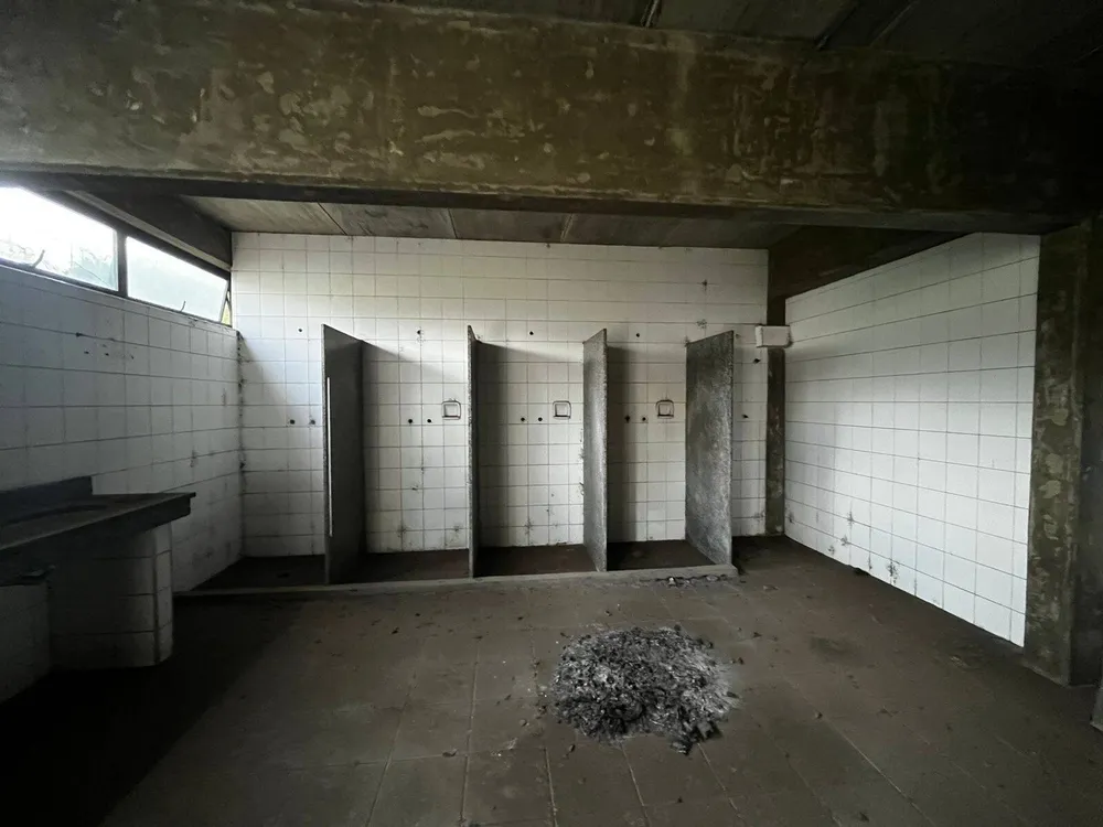 Depósito-Galpão, 4200 m² - Foto 8