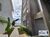 Apartamento, 2 quartos, 57 m² - Foto 1