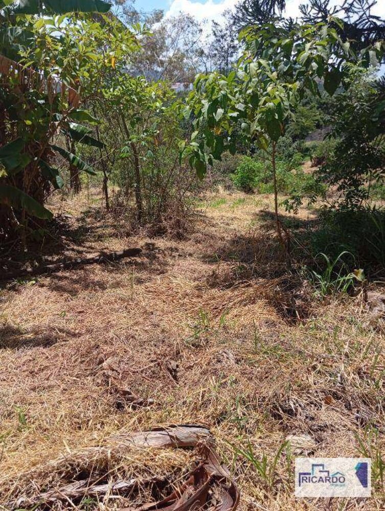 Terreno, 2 hectares - Foto 3