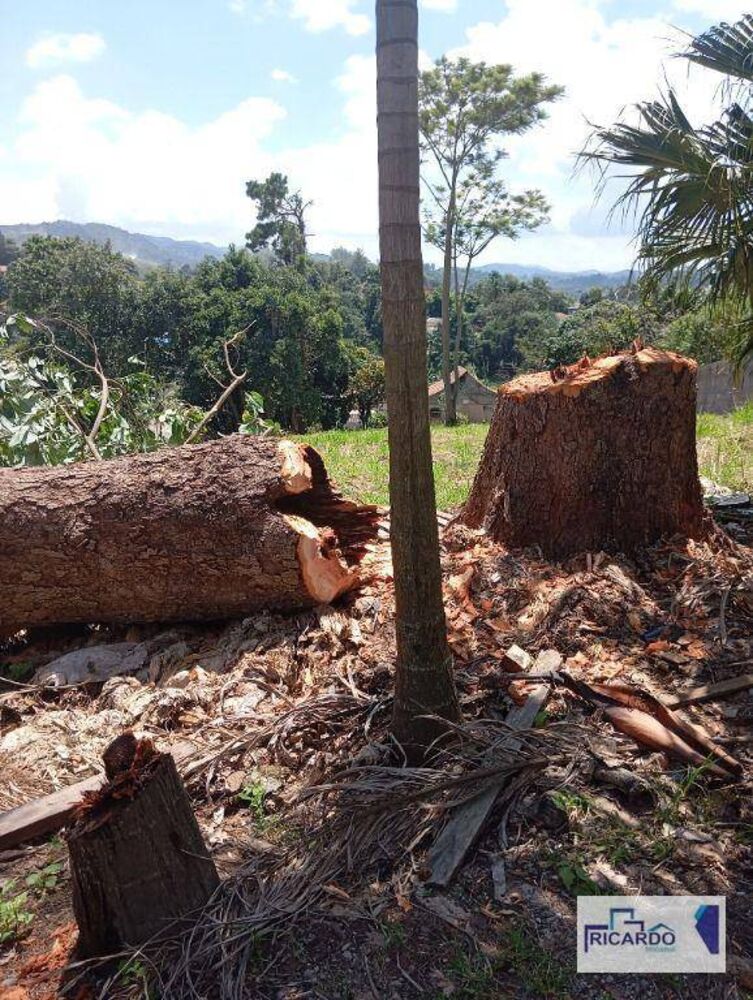 Terreno, 2 hectares - Foto 6