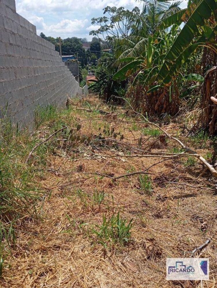 Terreno, 2 hectares - Foto 1