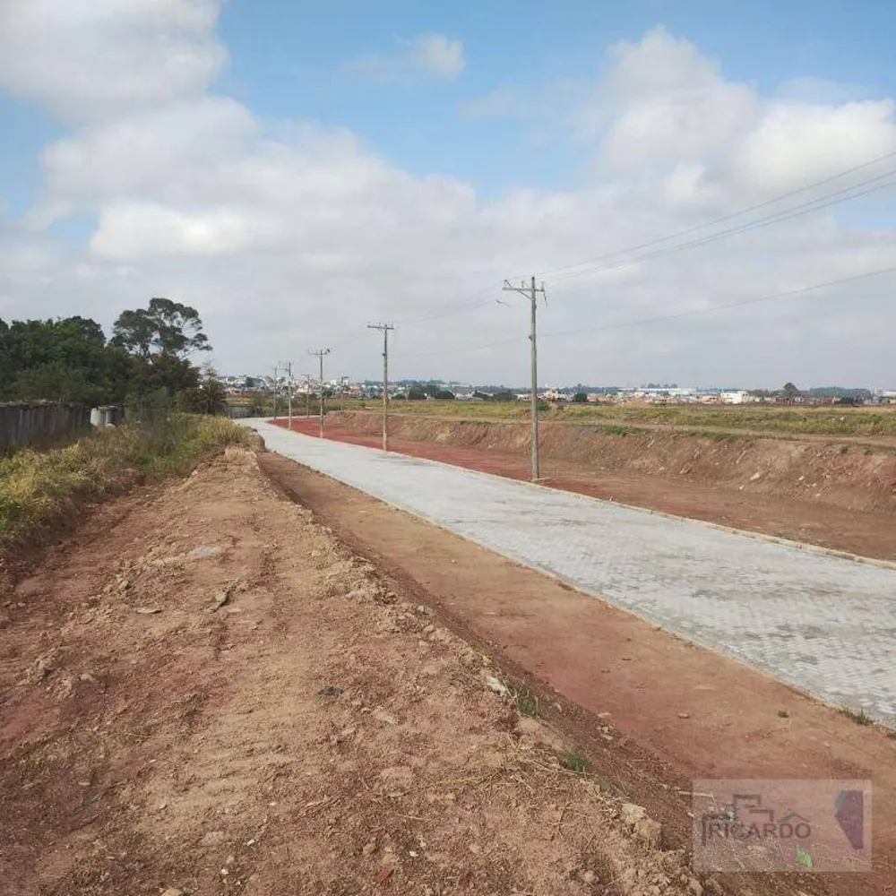Terreno, 14 hectares - Foto 3