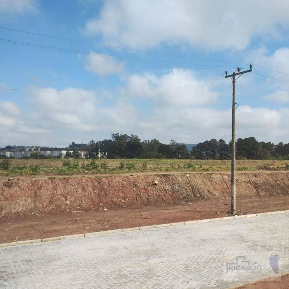 Terreno, 14 hectares - Foto 1
