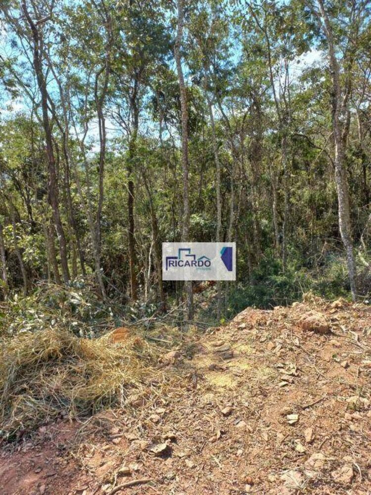 Terreno, 1785 m² - Foto 5