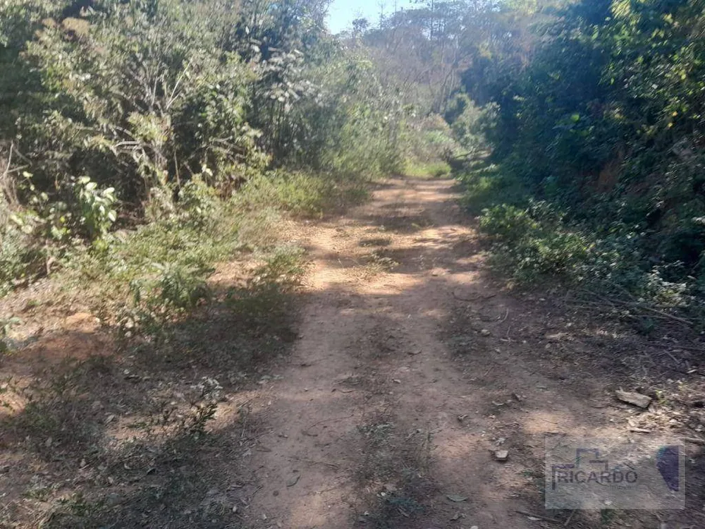 Terreno, 1000 m² - Foto 6