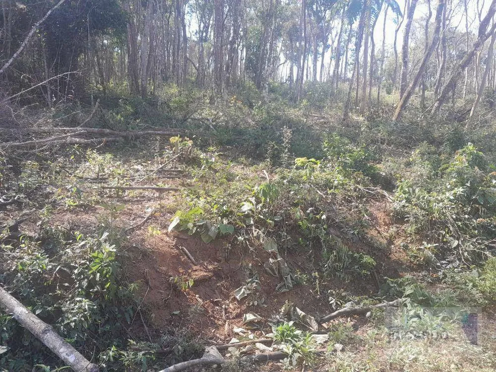 Terreno, 1000 m² - Foto 5