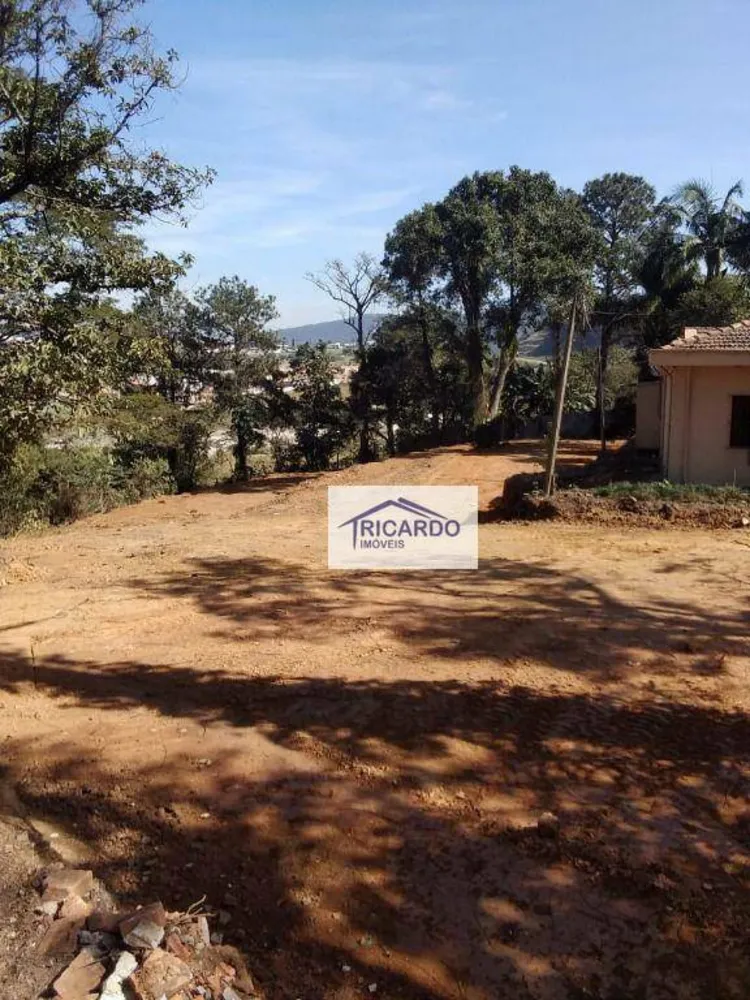 Terreno, 2 hectares - Foto 7