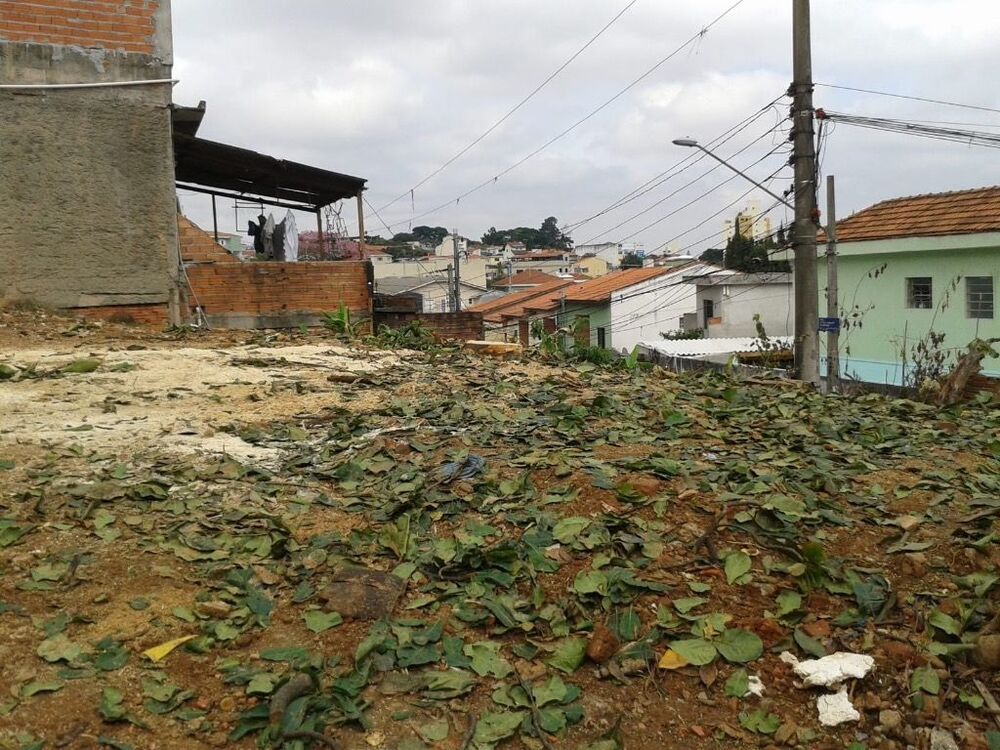 Terreno, 217 m² - Foto 5