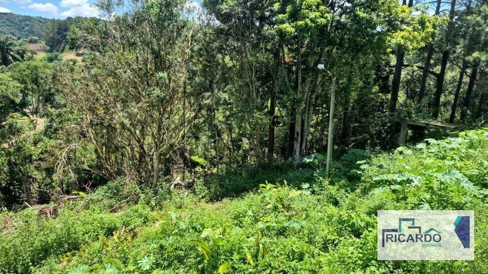 Terreno, 4 hectares - Foto 1