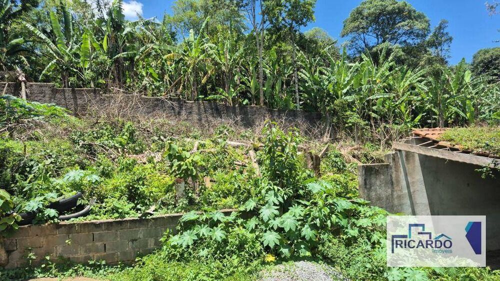 Terreno, 4 hectares - Foto 6