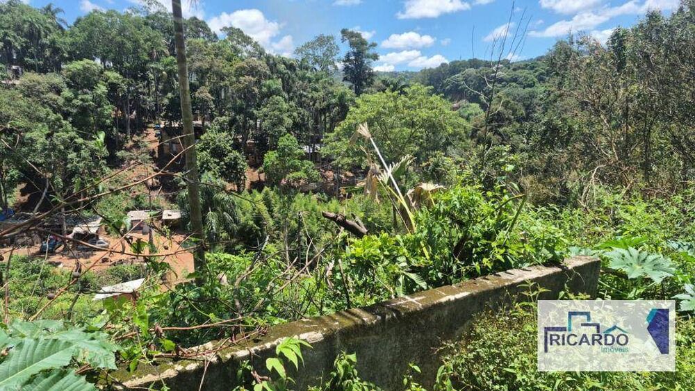 Terreno, 4 hectares - Foto 3