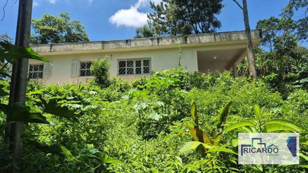 Terreno, 4 hectares - Foto 7