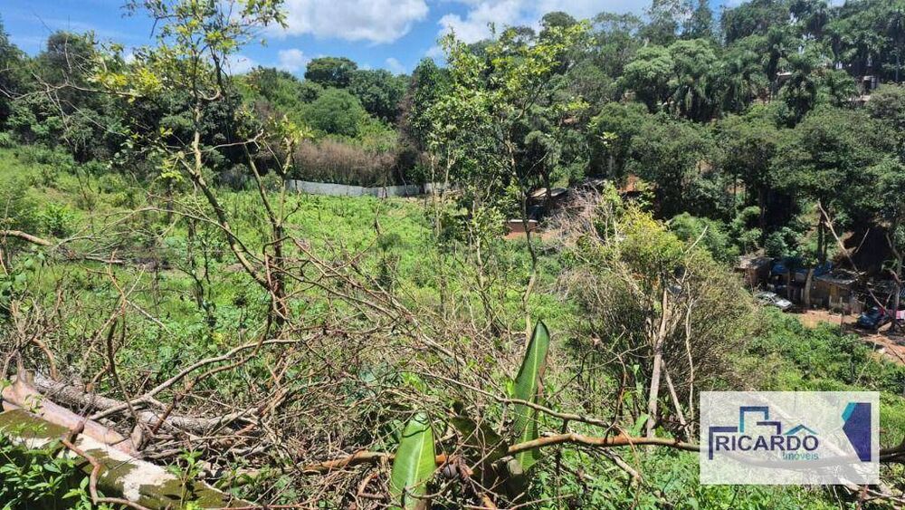 Terreno, 4 hectares - Foto 8