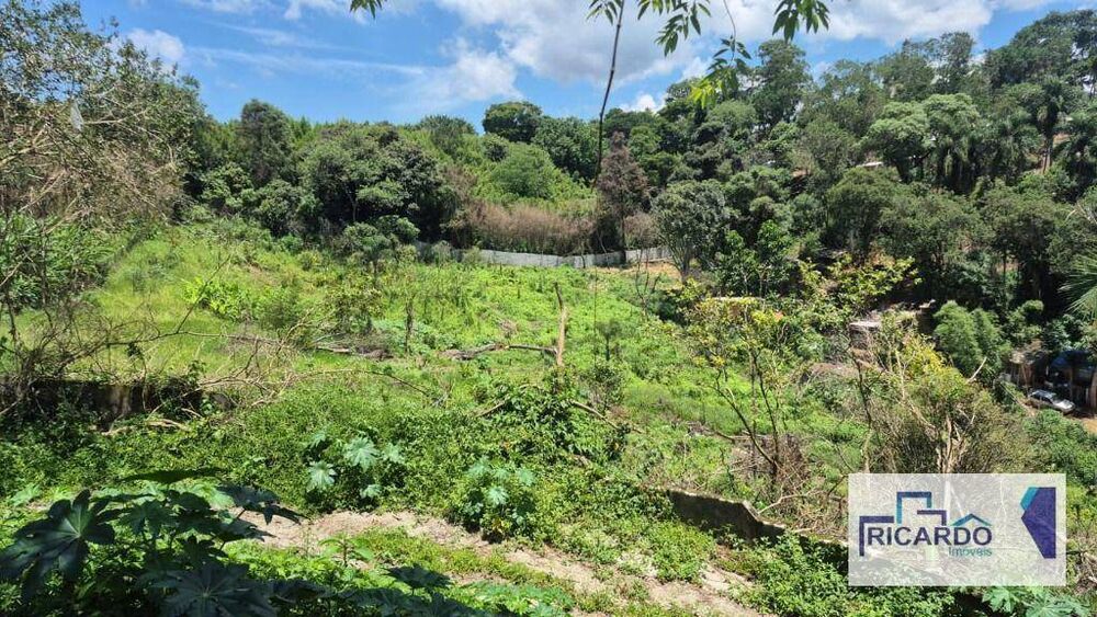 Terreno, 4 hectares - Foto 5