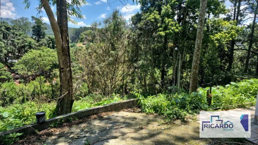 Terreno, 4 hectares - Foto 9