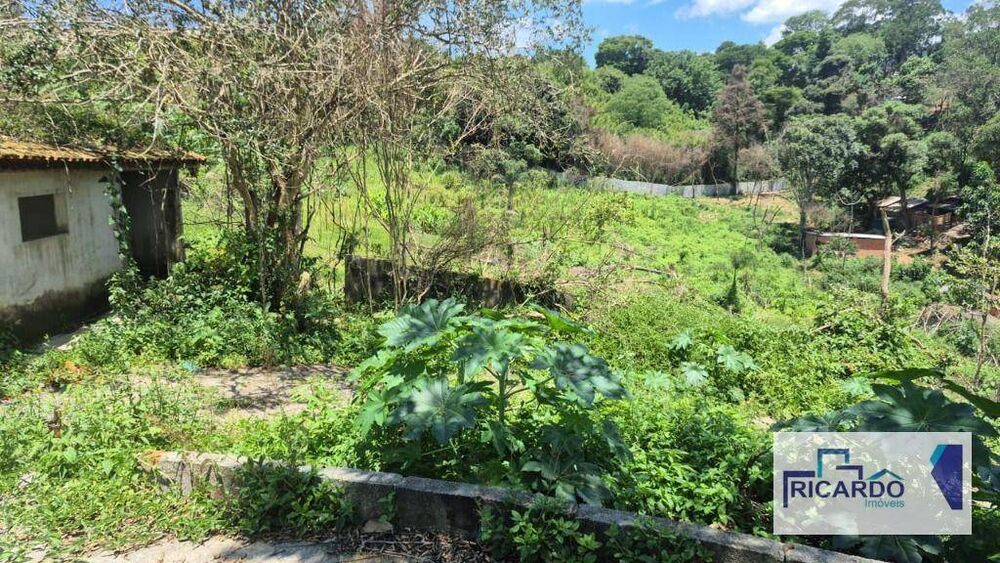 Terreno, 4 hectares - Foto 4