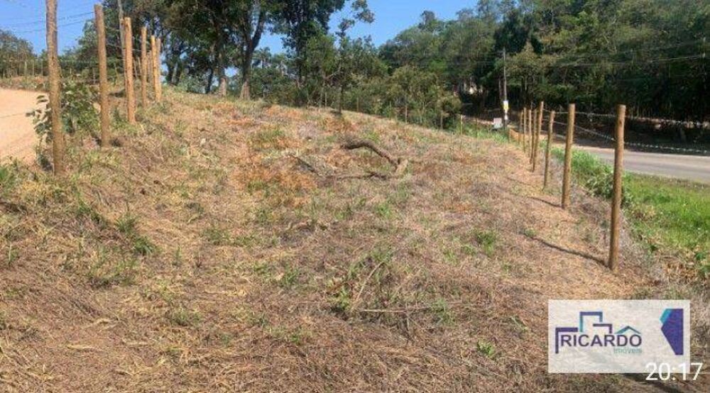 Terreno, 21 hectares - Foto 4