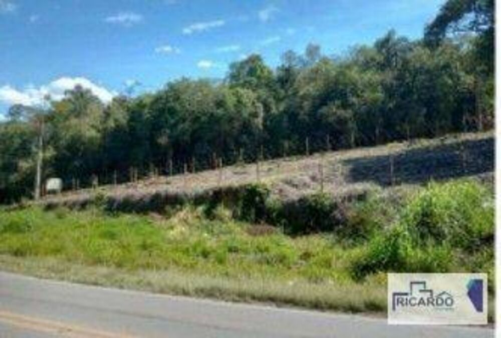 Terreno, 21 hectares - Foto 3