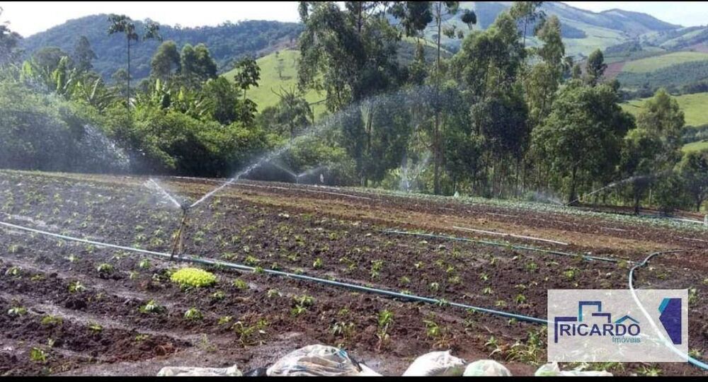 Sítio à venda com 2 quartos, 135000M2 - Foto 8