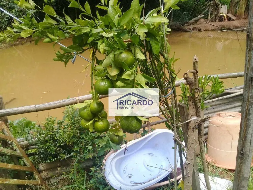 Chácara, 2 quartos, 1100 m² - Foto 10