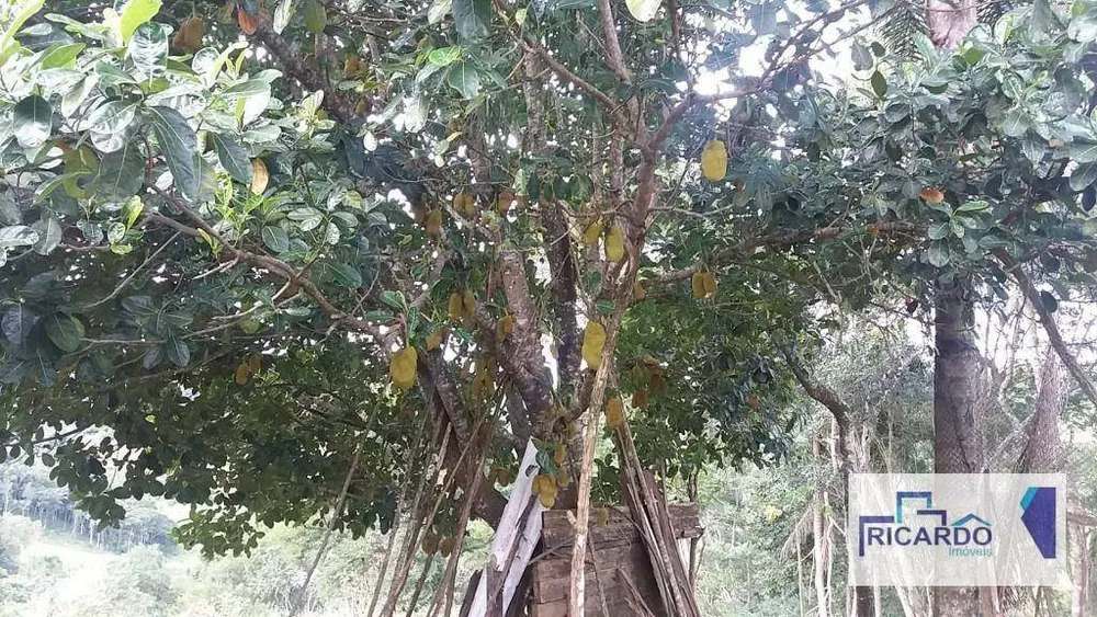 Chácara, 2 quartos, 5 hectares - Foto 9