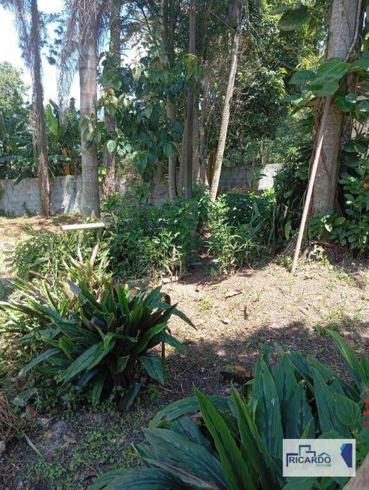 Terreno, 10000 m² - Foto 7