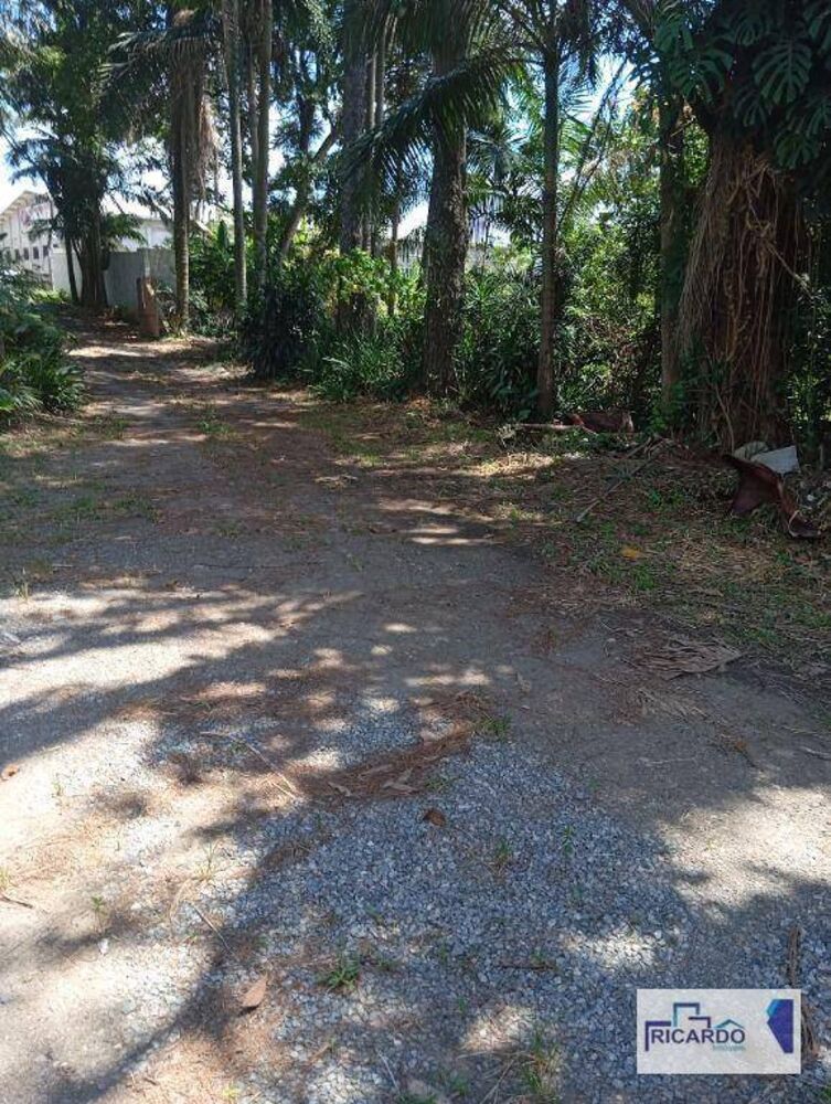 Terreno, 10000 m² - Foto 2